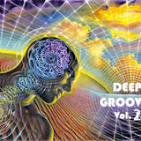 Deep Grooves Vol. 2