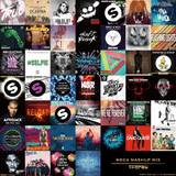 Party Mix Vol.11 <Mega Mashup Mix>