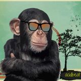 mix tape @ acidbeat indie dance new disco #1