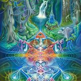 DJ LUCA - MYSTICAL VOYAGERS VISIONARY SHAMANICS SHOW - 25/4/15