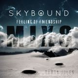 FOF Mixtape 8 /06-05-2013/ SKYBOUND HOUSE MIX/