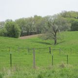 EarthDay 2012