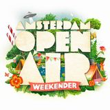 Dj Sneak @ Amsterdam Open Air 2013 (08-06-2013)