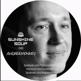 Sunshine Soup 043 - Angreemonkey (back to house)