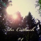 An Cathach Mix #4