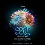 Brennan Heart @ Electric Daisy Carnival 2014 Las Vegas