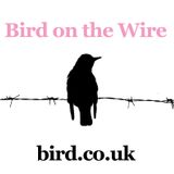 Bird on the Wire Show 2