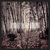 A Walk In The Forest