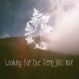 Looking for the Fern Hill