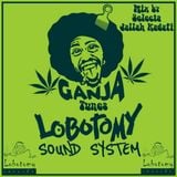 Lobotomy Sound & Selecta Jallah Kadafi "Ganja Tunes Vol.1" Roots & Culture Edition.