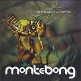 Monte Bong - En Sintonia con la Tierra