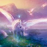 THE WIZARD DK - A MAGICAL JOURNEY TO NETHERLANDS 11(Thanks to followers worldwide)