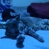 Mike Z - Downtime (mellow midtempo/DnB) 5.5.12