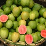Guava Beats #28