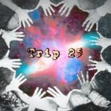 Funk Machine: Trip #25 (Hands Up)