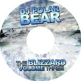 DJ Polar Bear(Dorin Miricinschi)-January 2012 Mix