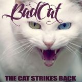Fresh outta WMC - The Cat Strikes Back!