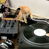 Practice Mix