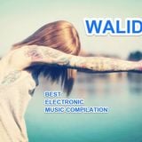 Walid Mx - In The Mix #003