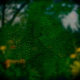 Lost In Transition ( James Blake - Ghost Loft - Autre Ne Veut - John Wizards - Walton - Beacon )