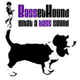 May This Bass Shake Your Ass