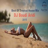 Best Of Tropical House 2015 (Boudi Aridi Mix)