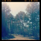 Friends of Hunter / March 2012 compilation