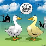 Peter dB - Goose Bumps