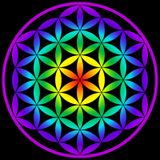 Psytrance MAGNOLIA