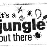 13.04.13 easy g (benito blanco) b2b drummachine nico @ dub club, bruchsal - 3 the hard way - jungle
