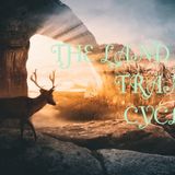 THE LAND OF TRANCE BOOK 4