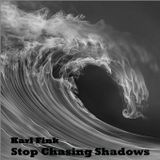 Karl Fink - Stop Chasing Shadows