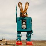 saloondobarulho - some of afrikaburn 2014
