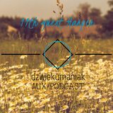 11th guest Harper (dzwiekumaniak.pl guest mix/podcast)