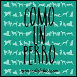 Como un perro 27-06