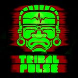 Tribal Pulse Podcast 006: Pole Folder