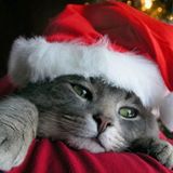 Christmas Party Mix !!!!!