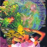Mixmaster Morris @ Kyoto Hati Hati 2001