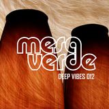mesa verde - deepvibes 012