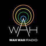 Wah Wah 45s Radio - April 2016