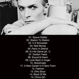 Steve D - Loving The Alien - A Tribute To David Bowie (20/03/2013)