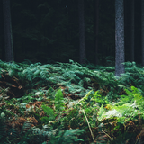 Monday Morning Mixtape 094