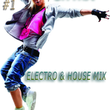 Electro & House Mix #1 January 2013