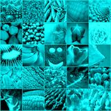 EverClectic 2