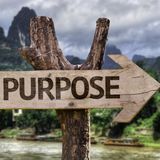 The Purpose Driven Pilgrim (Part 2) What's the point if there's no point?
