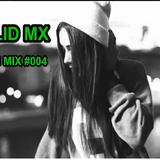 Walid Mx - In The Mix #004