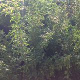 End of Summer 2014