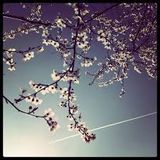 Spring!