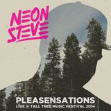 Pleasensations Live @ Tall Tree Festival 2014