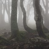 Ghostly Language: Wordsworth's Ghosts and Spectral Subjectivity